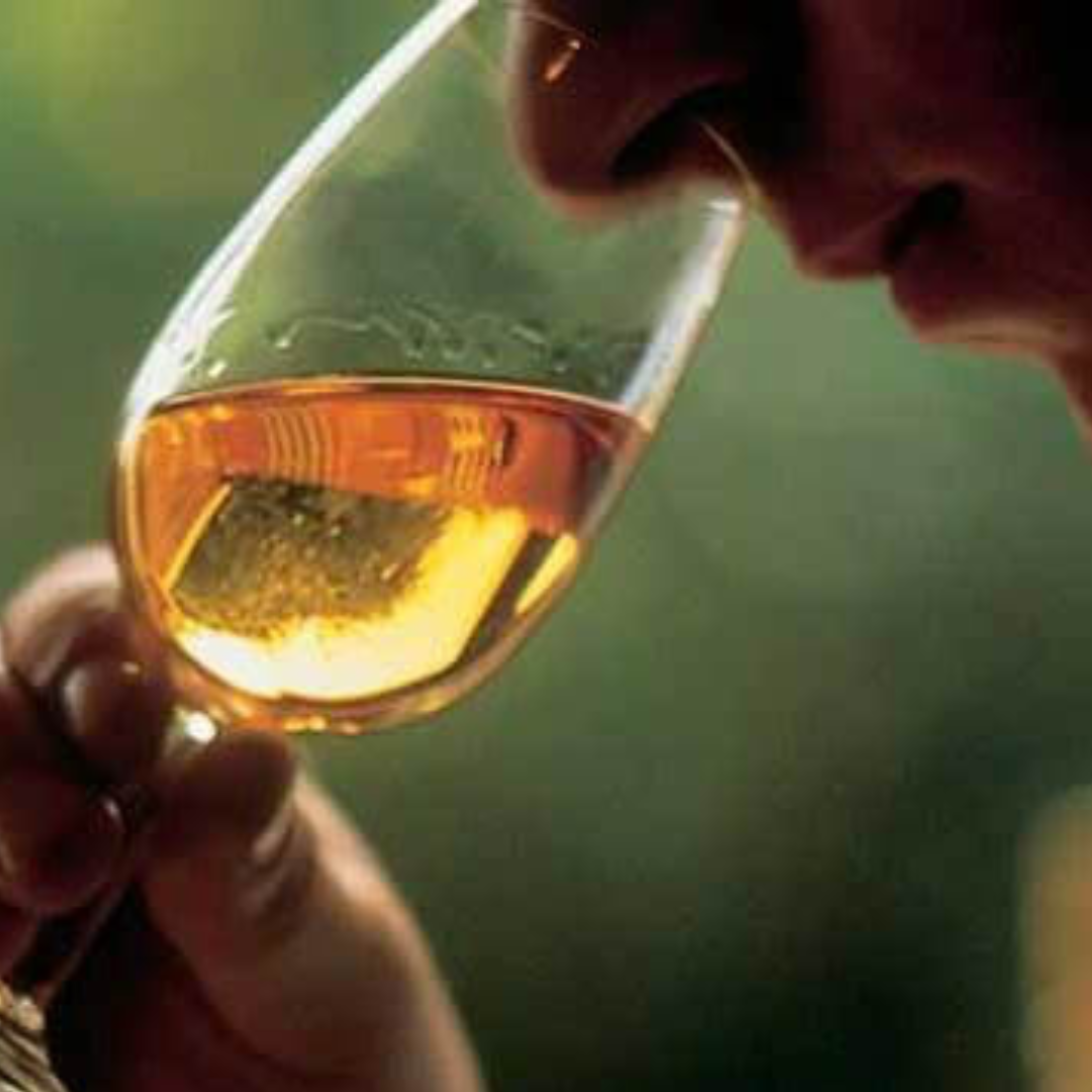 How to Taste Whiskey -  Nose like a Pro