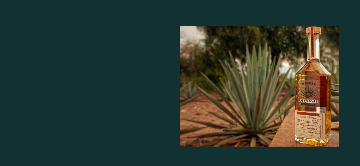 Mezcal: The Soul of Oaxaca