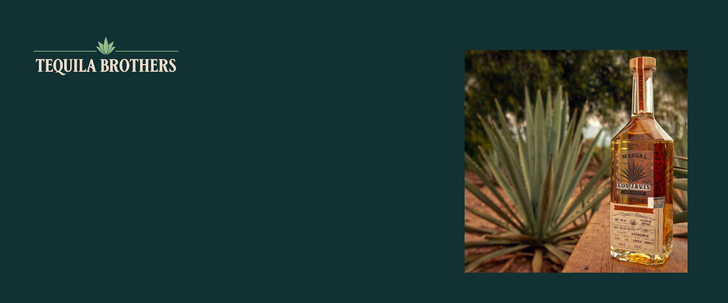 Mezcal: The Soul of Oaxaca